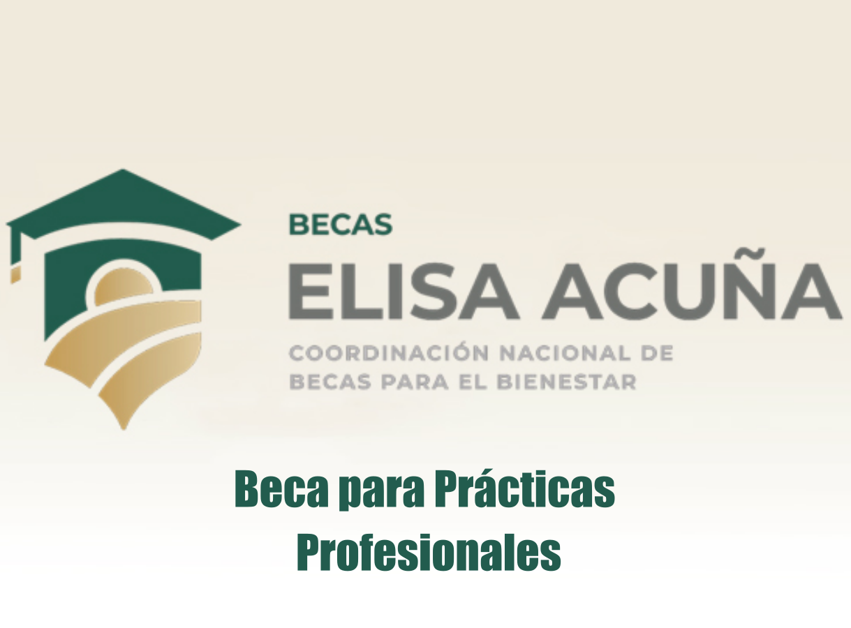 Beca Elisa Acuña para Prácticas Profesionales