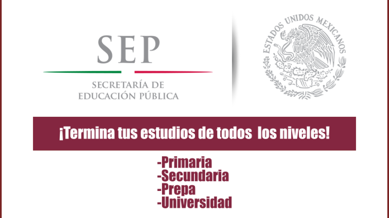 Termina tus estudios de todos los niveles educativos en línea: Primaria, Secundaria, Preparatoria y Universidad