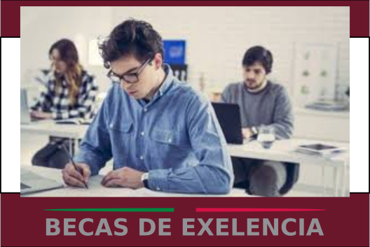 Beca de Excelencia: Impulsando el Futuro de Estudiantes Sobresalientes en Universidades Públicas